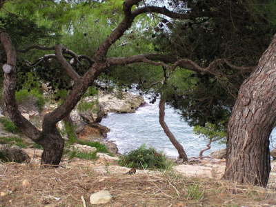 Mallorca El Arenal