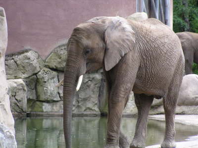 Duisburger Zoo
