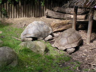 Duisburger Zoo