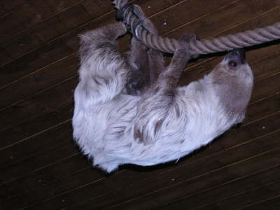 Duisburger Zoo