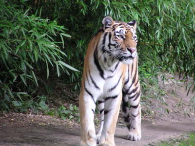 Duisburger Zoo