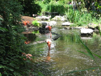Gelsenkirchen Zoo