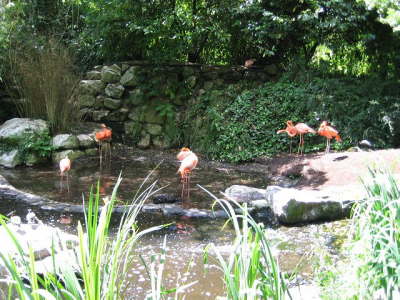 Gelsenkirchen Zoo