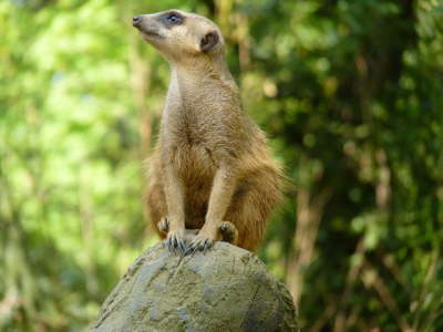 Duisburger Zoo